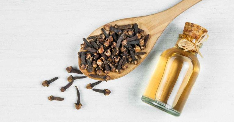 all natural bug spray recipe made with clove oil