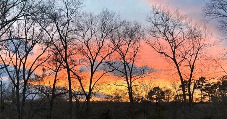 Falling in love with nature - sunset in northwest georgia