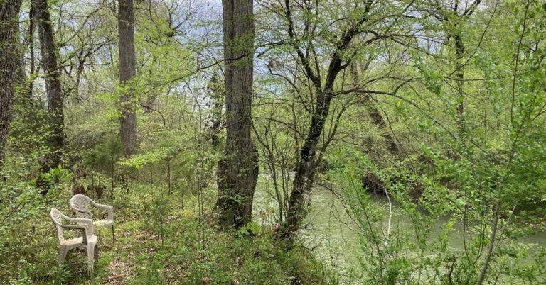 Chickamauga Creek - Spring Beauties and the Spade Miracle