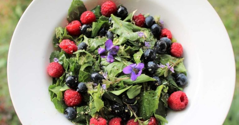 Salad Art - Creating beautiful salads from the garden and native plants in your yard.