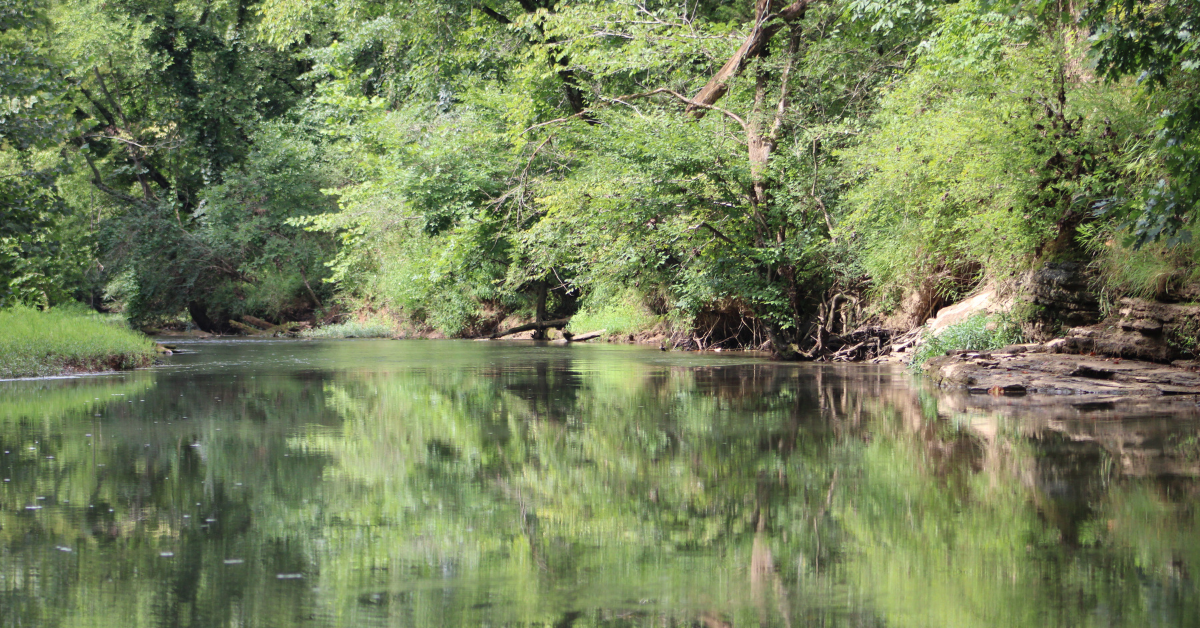 Luminous Reflections - Canoeing the West Chickamauga Creek