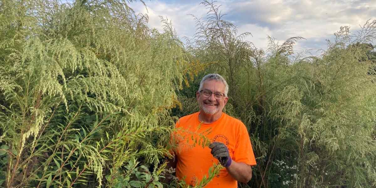 Dave in dog fennel, Spirit Tree Farms