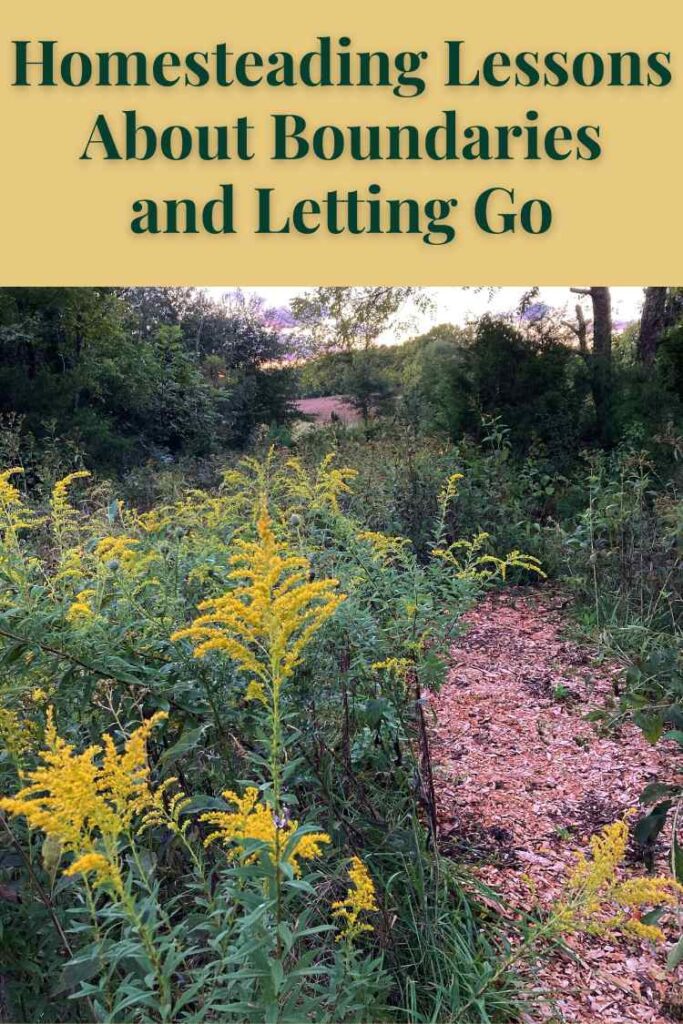 Homesteading Lessons About Boundaries and Letting Go